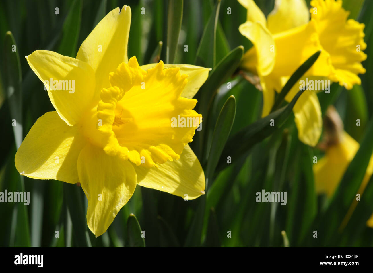 First day spring hi-res stock photography and images - Alamy