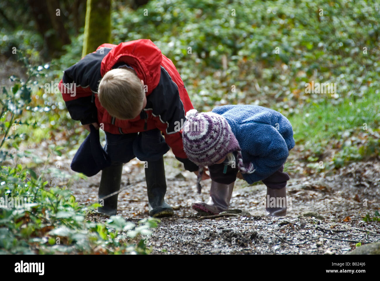 Stock photo of a brother and sister stooping to inspect an insect on a