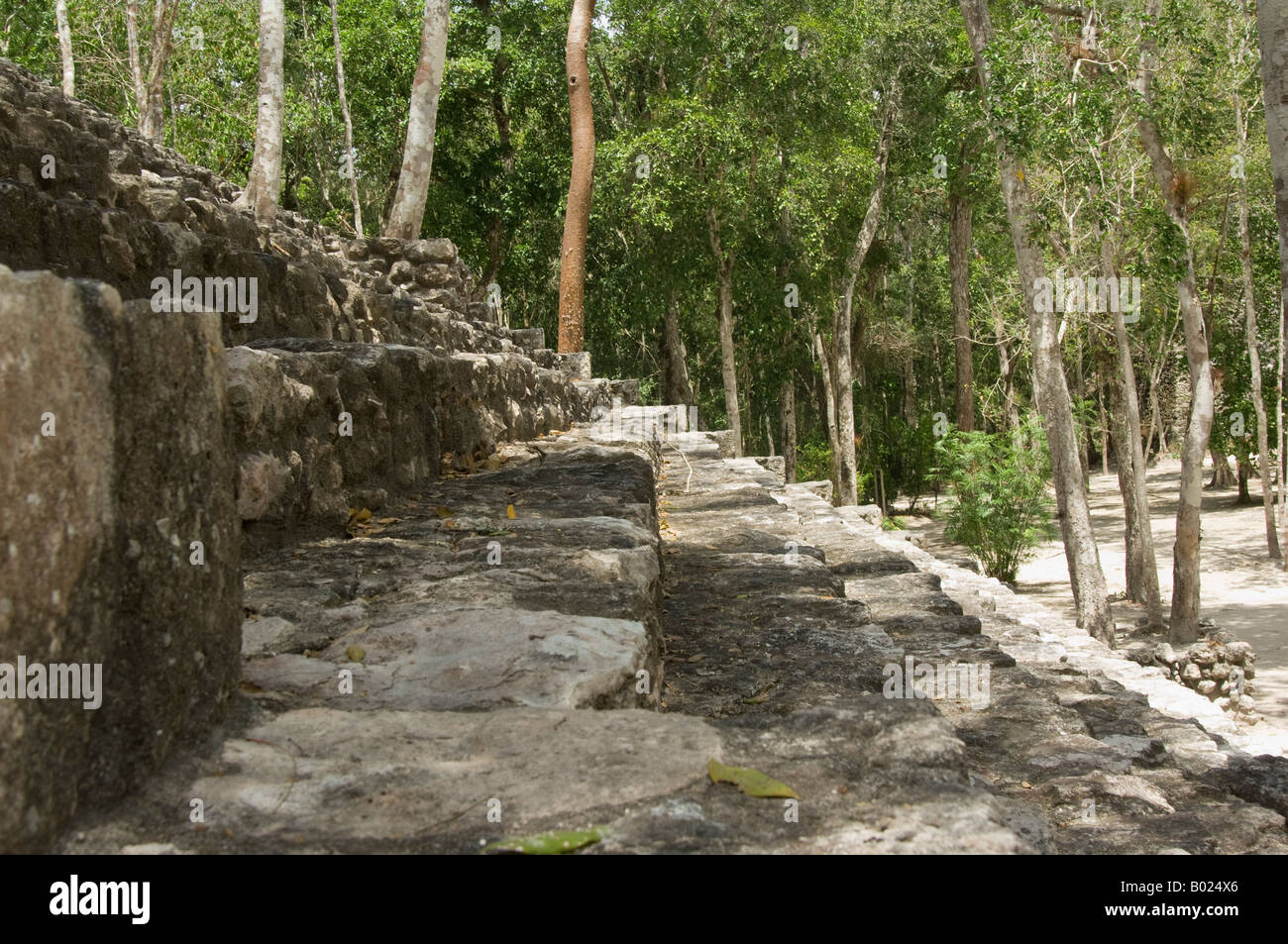 Maya ruins Calakmul Stock Photo