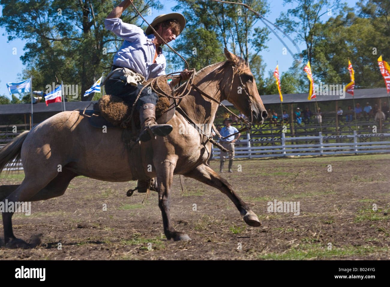 rodeo horse Uruguay fiesta gaucho cow-boy cowboy Stock Photo - Alamy