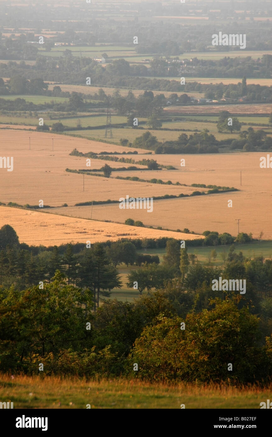 Zigzag hedgerows in the Vale of Aylesbury Stock Photo