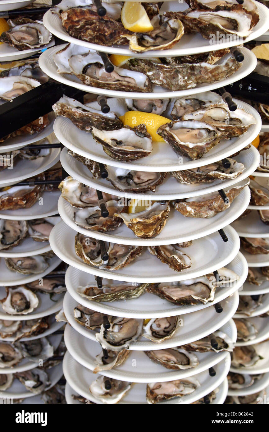 "Plates of oysters Stock Photo Alamy