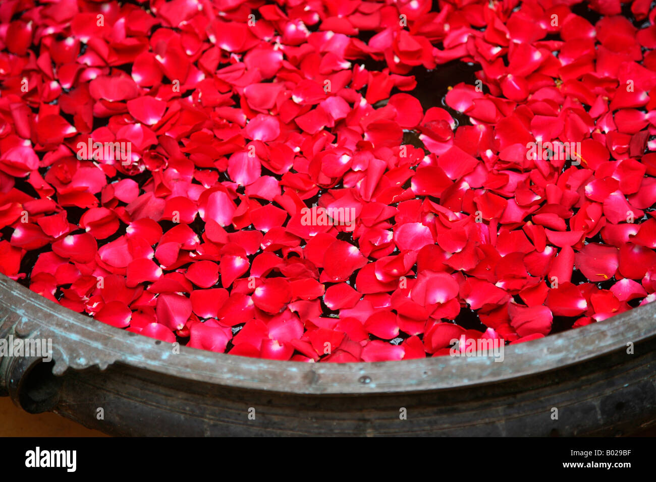 Brass container hires stock photography and images Alamy