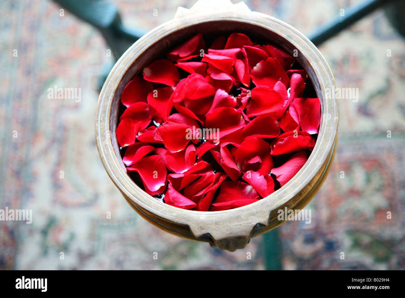 Rose petals floating in brass container a floral decoration in kerala
