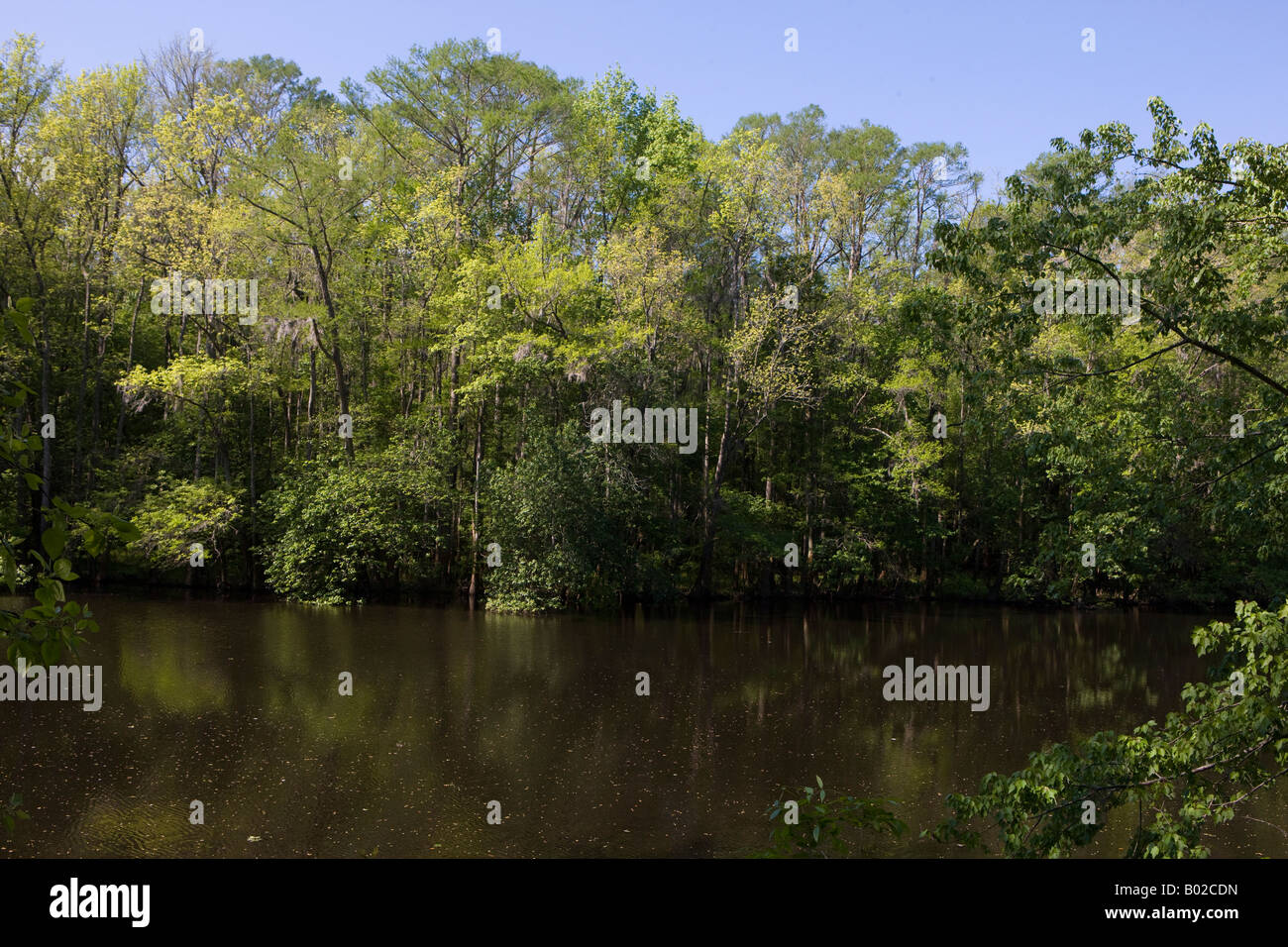 Weston Lake: Your South Carolina Lakeside Escape