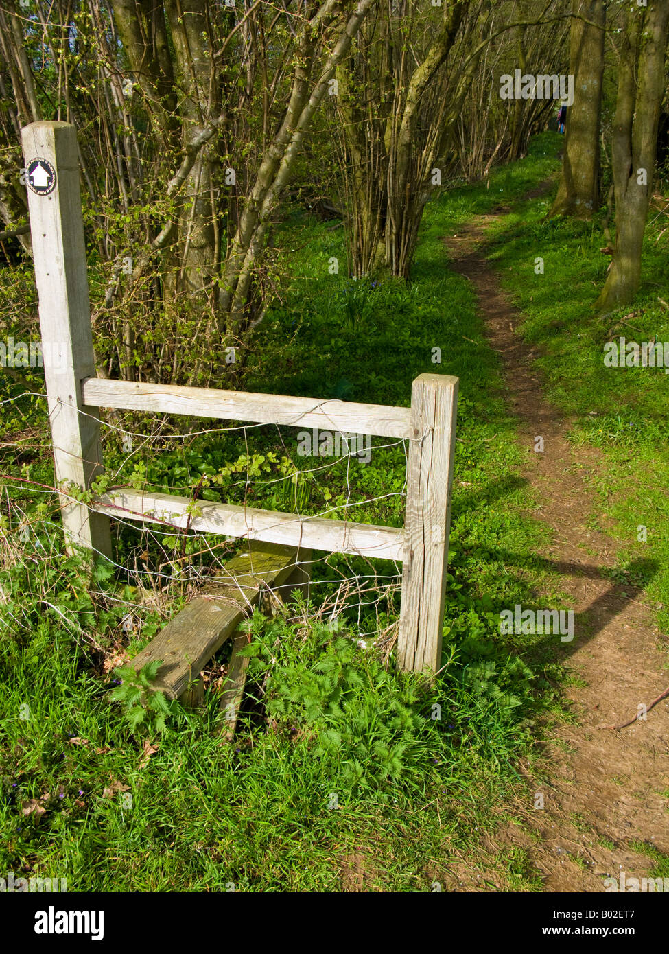 A traditional country stile at Milford Surrey pointless as there is a path alongside Stock Photo