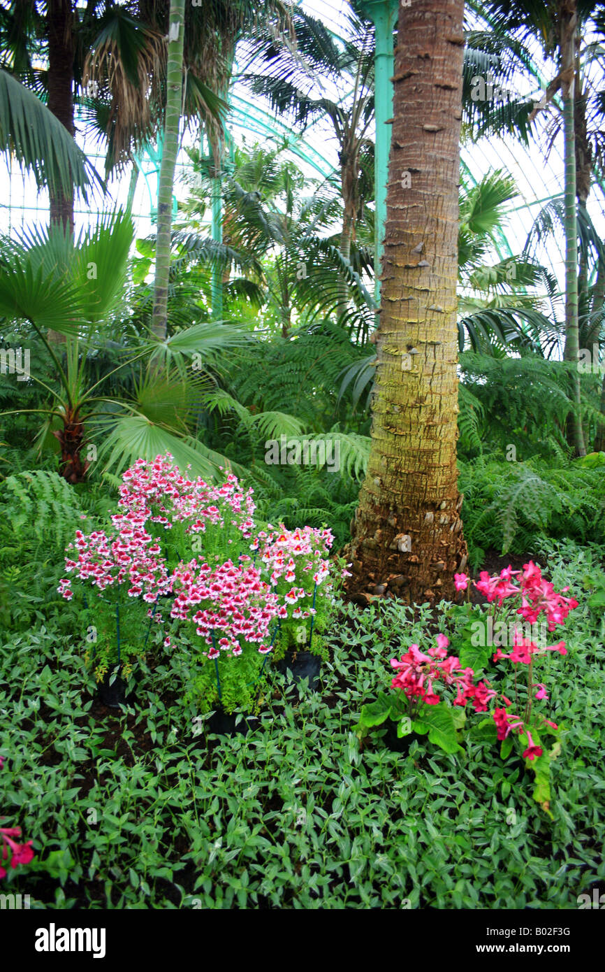 Royal Greenhouse Laeken Palace Brussels Hi-res Stock Photography And ...