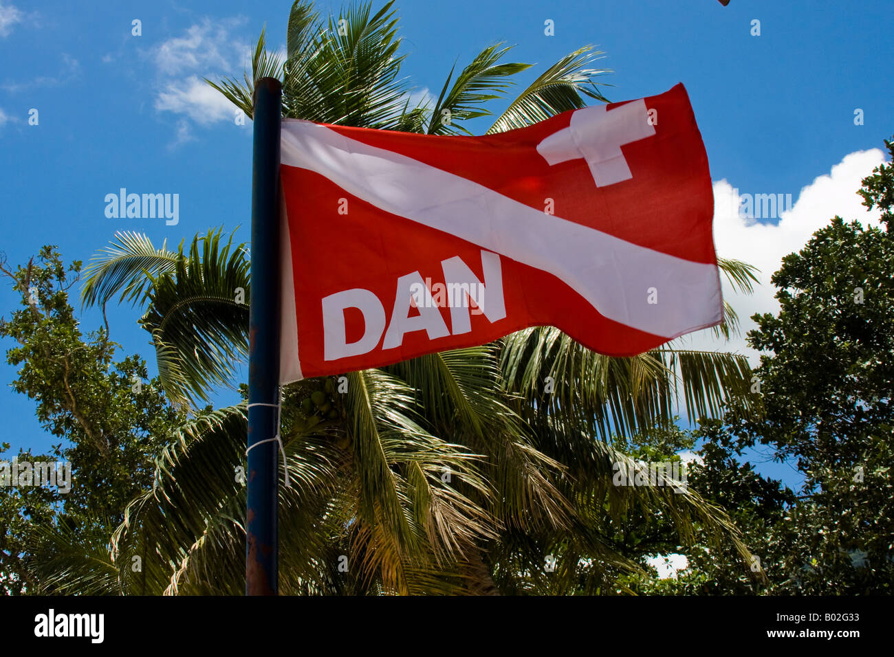 Dan divers alert network hi-res stock photography and images - Alamy