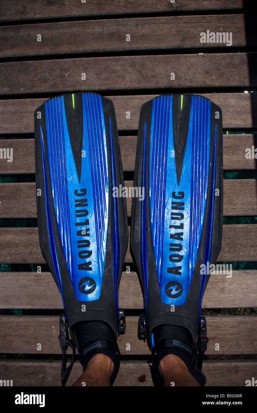 Man wearing swimming flippers hi-res stock photography and images - Alamy