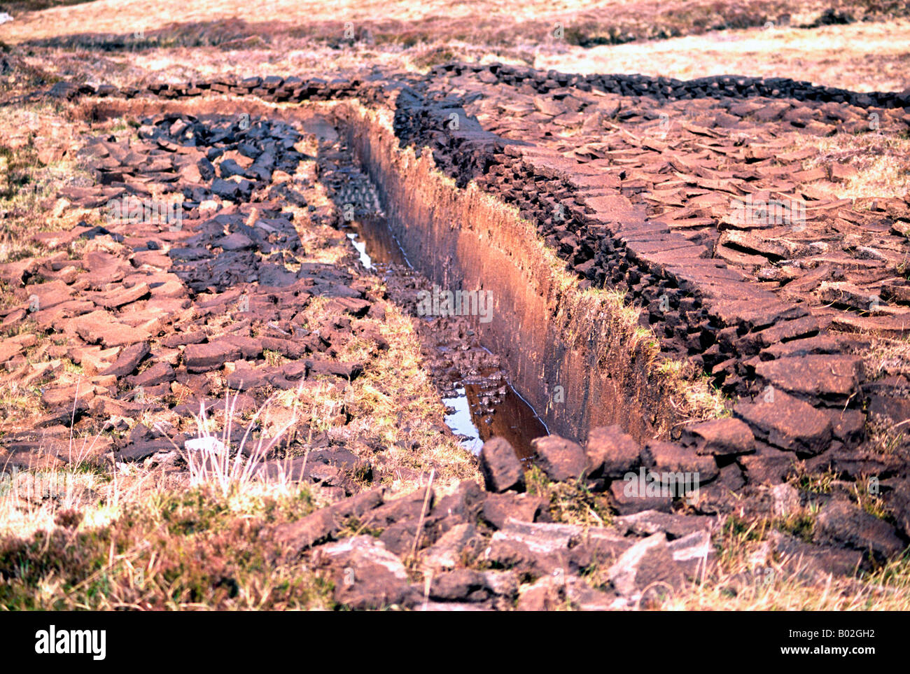Cut peat drying Scottish Islands Stock Photo