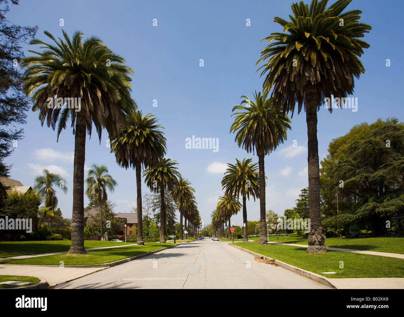 Palm lined street los angeles hires stock photography and images Alamy