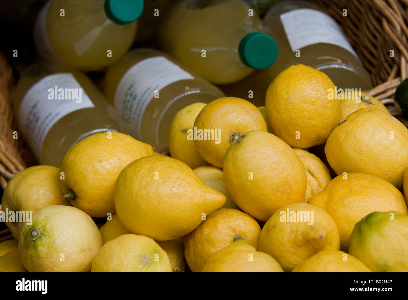Organic lemons in the Norwich Market Stock Photo Alamy