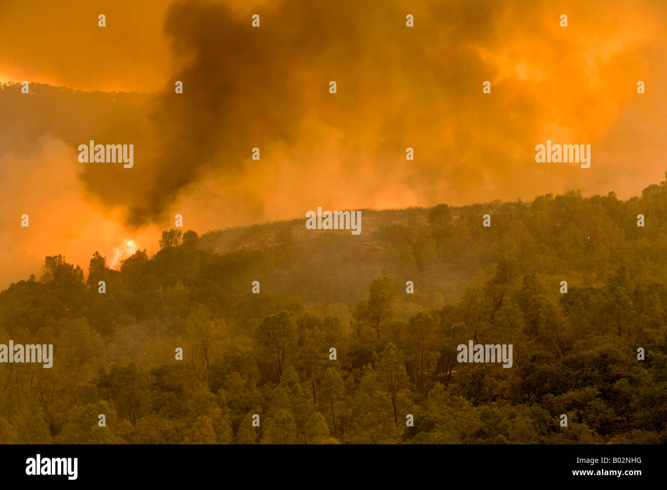 50,000 acre California wildfire at Henry Coe State Park south of San Jose fought by CAL Fire CDF Stock Photo