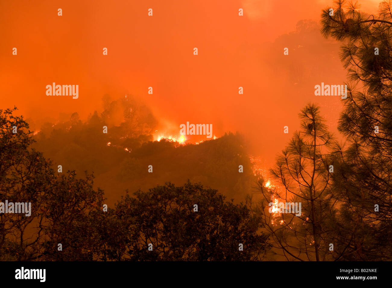 50,000 acre California wildfire at Henry Coe State Park south of San Jose fought by CAL Fire CDF Stock Photo