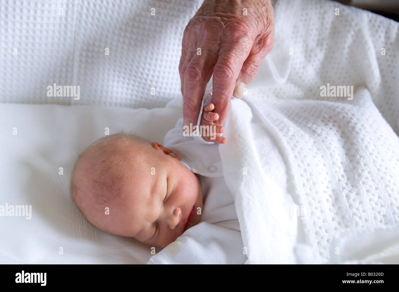 New Born With Old Hand Stock Photo