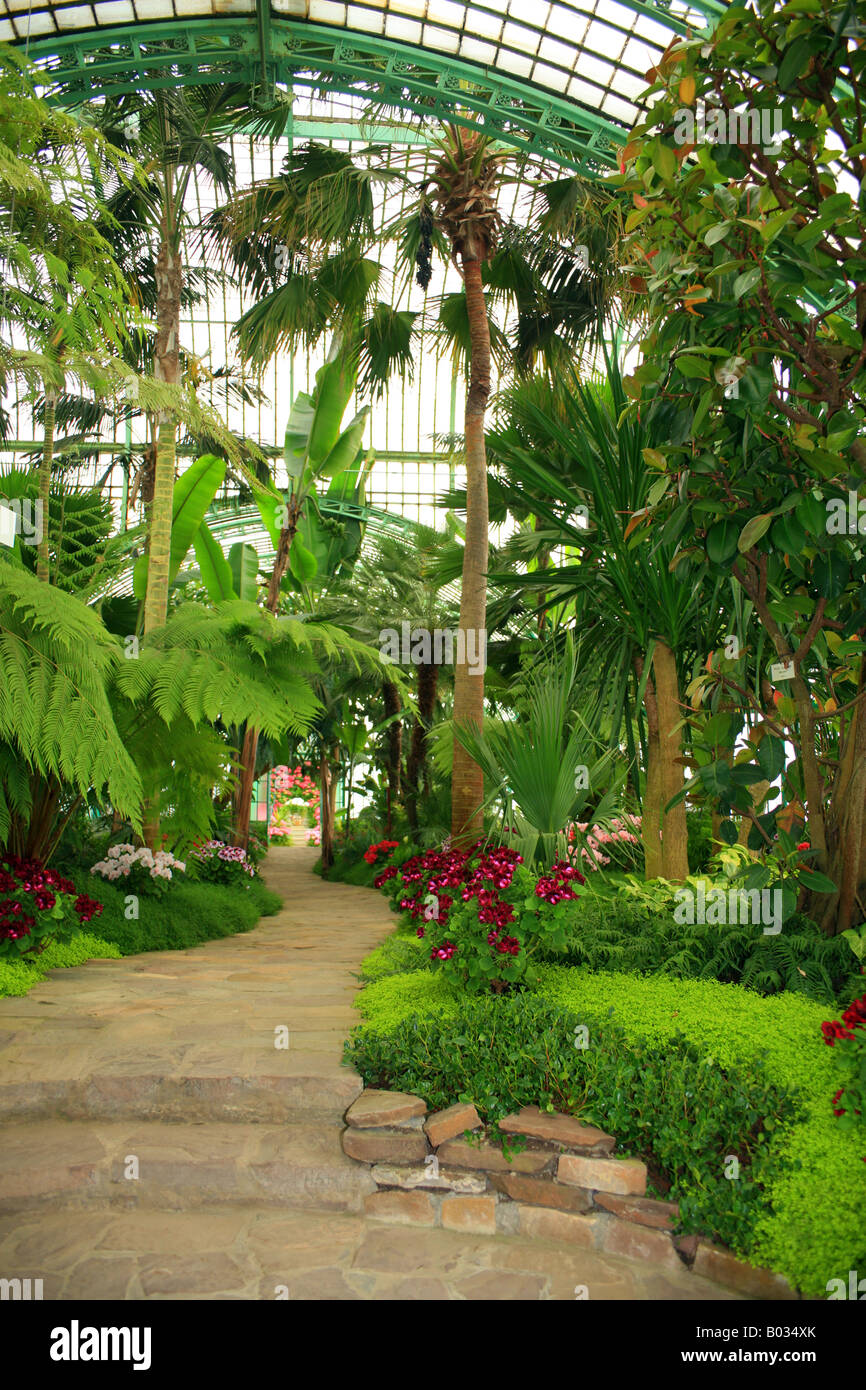 Path through centre of Palm House, Royal Glasshouses (Les Serres ...