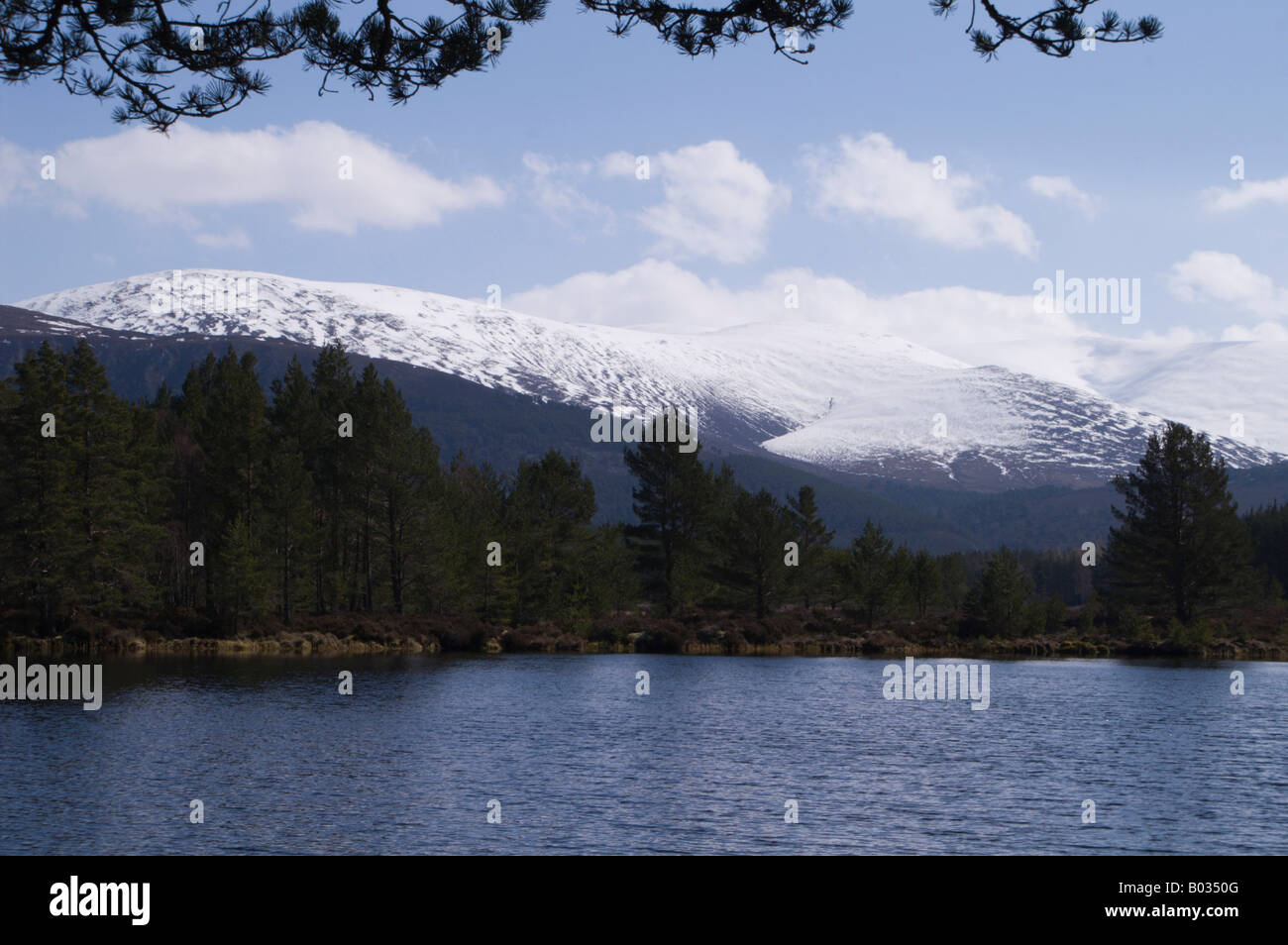 Uath Lochan, a tree-lined Scottish loch (lake) with mountains in the background. Stock Photo