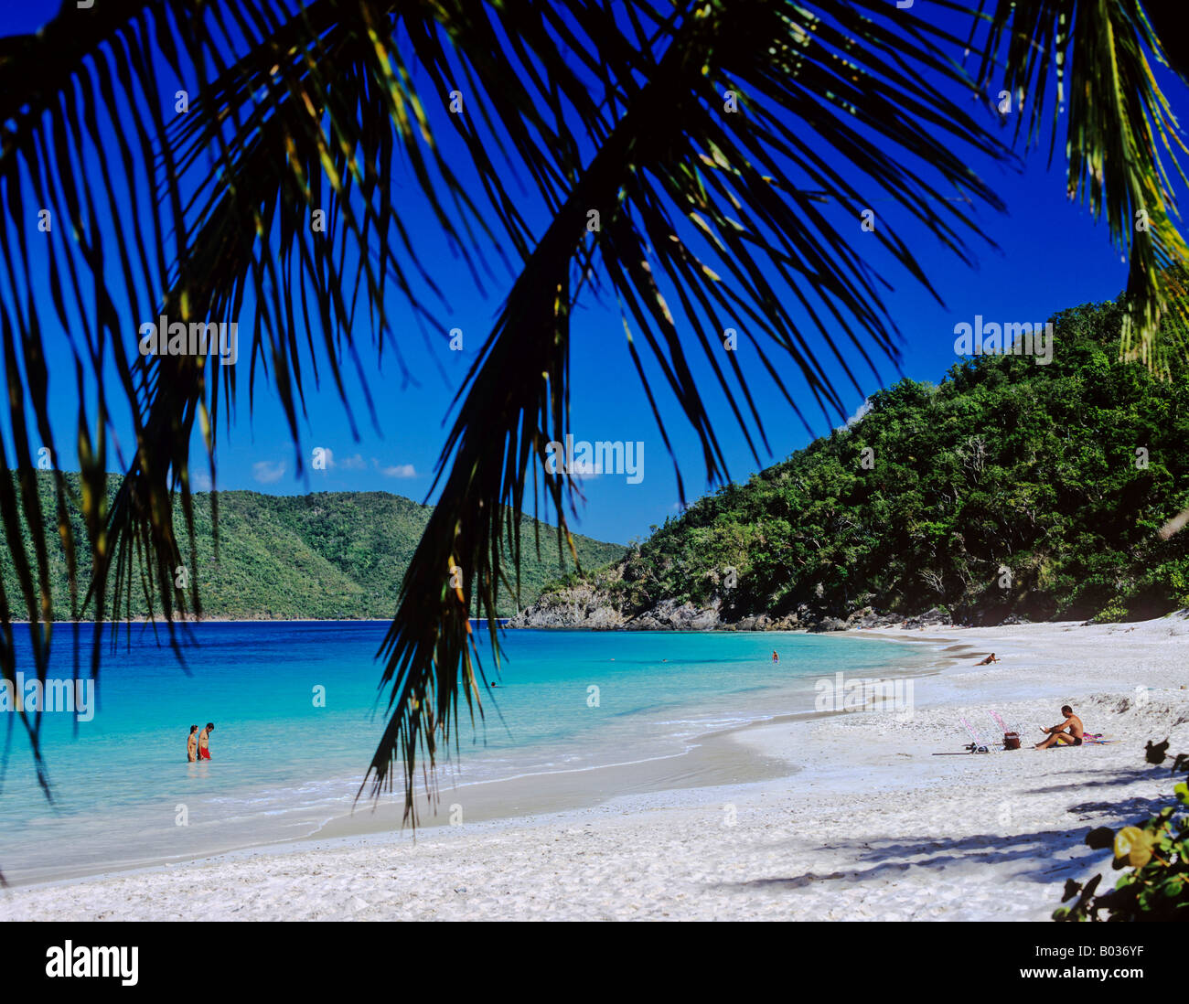0551 Cinnamon Beach St Johns US Virgin Islands Caribbean Stock Photo