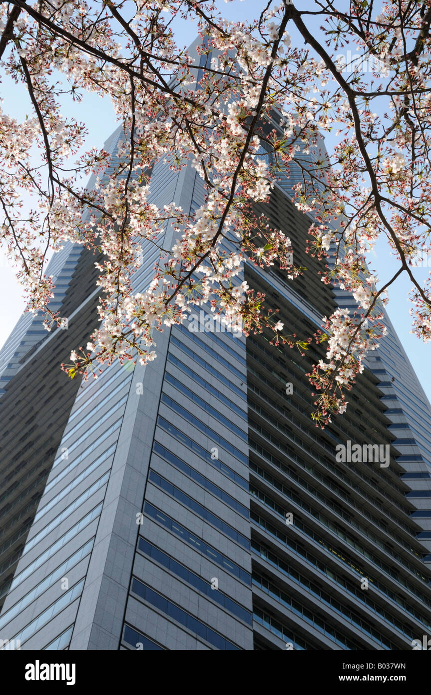 The Landmark Tower and Cherry Blossoms, Yokohama JP Stock Photo