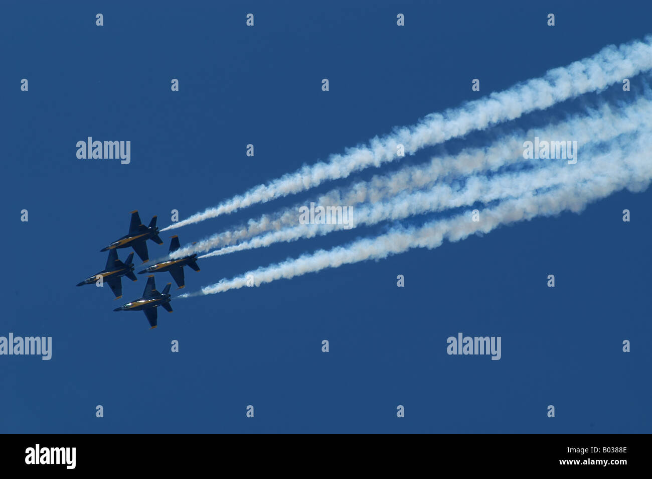 Ohio Air Shows 2025 Linea Petunia