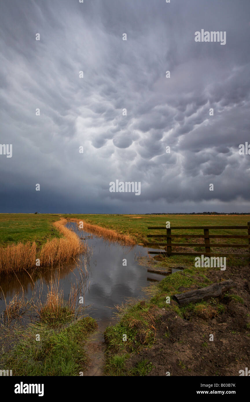 Dramatic storm cloud formations over the Halvergate Marshes close to Beney Arms Windmill on the Norfolk Broads Stock Photo