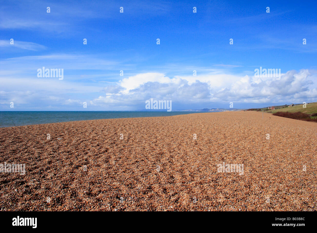 Jurassic coast dorset kids fossil hires stock photography and images
