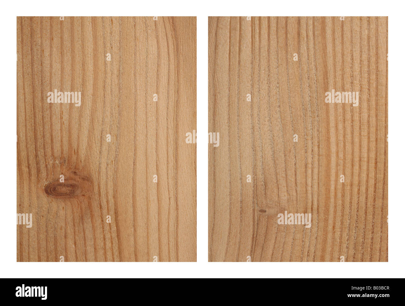 Larch Wood Plank Board Isolated on White Background.Two Larch Wood