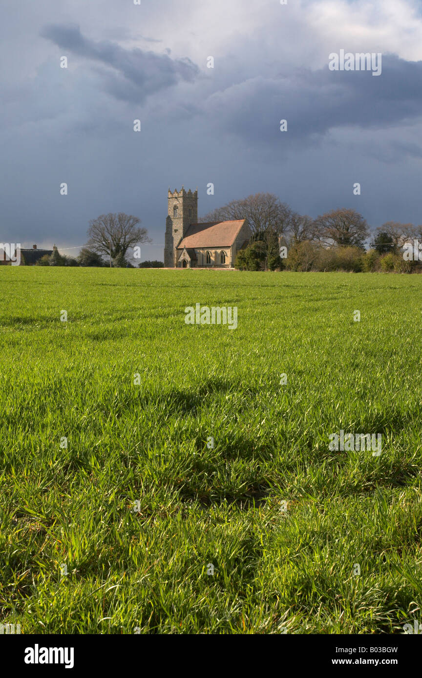 Wickhampton church on the edge of the Halvergate marshes, Norfolk Broads Stock Photo