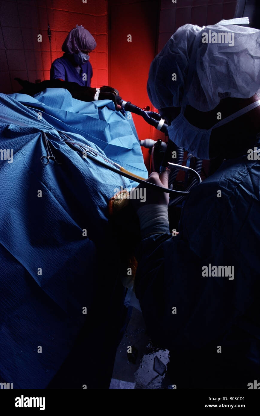 Arthroscopic knee surgery hires stock photography and images Alamy