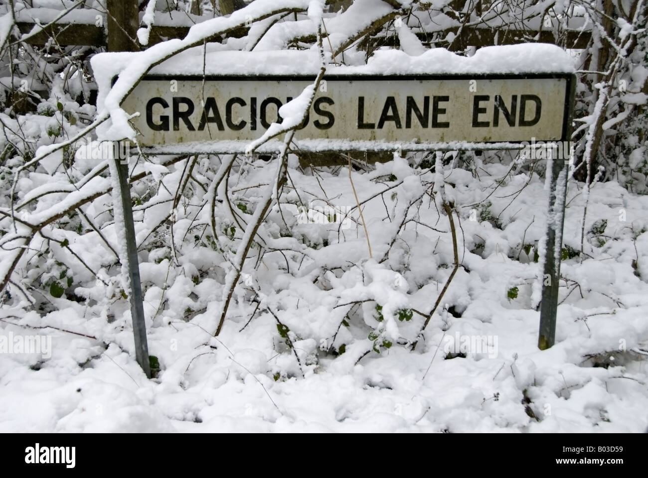 Snowy scene in Kent,  UK. Stock Photo
