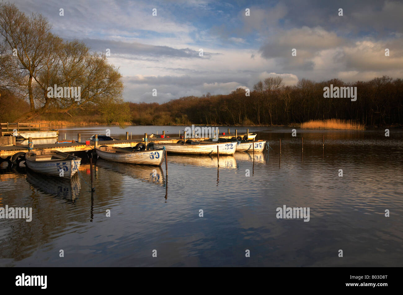 Rowing Boats for hire at Ormesby Little Broad on the Norfolk Broads