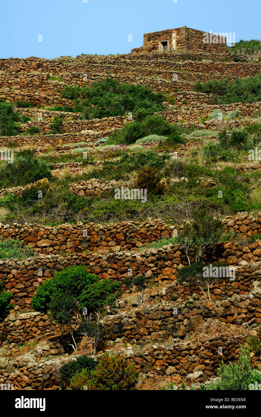 dry walls in the Pantelleria island in Italy Stock Photo