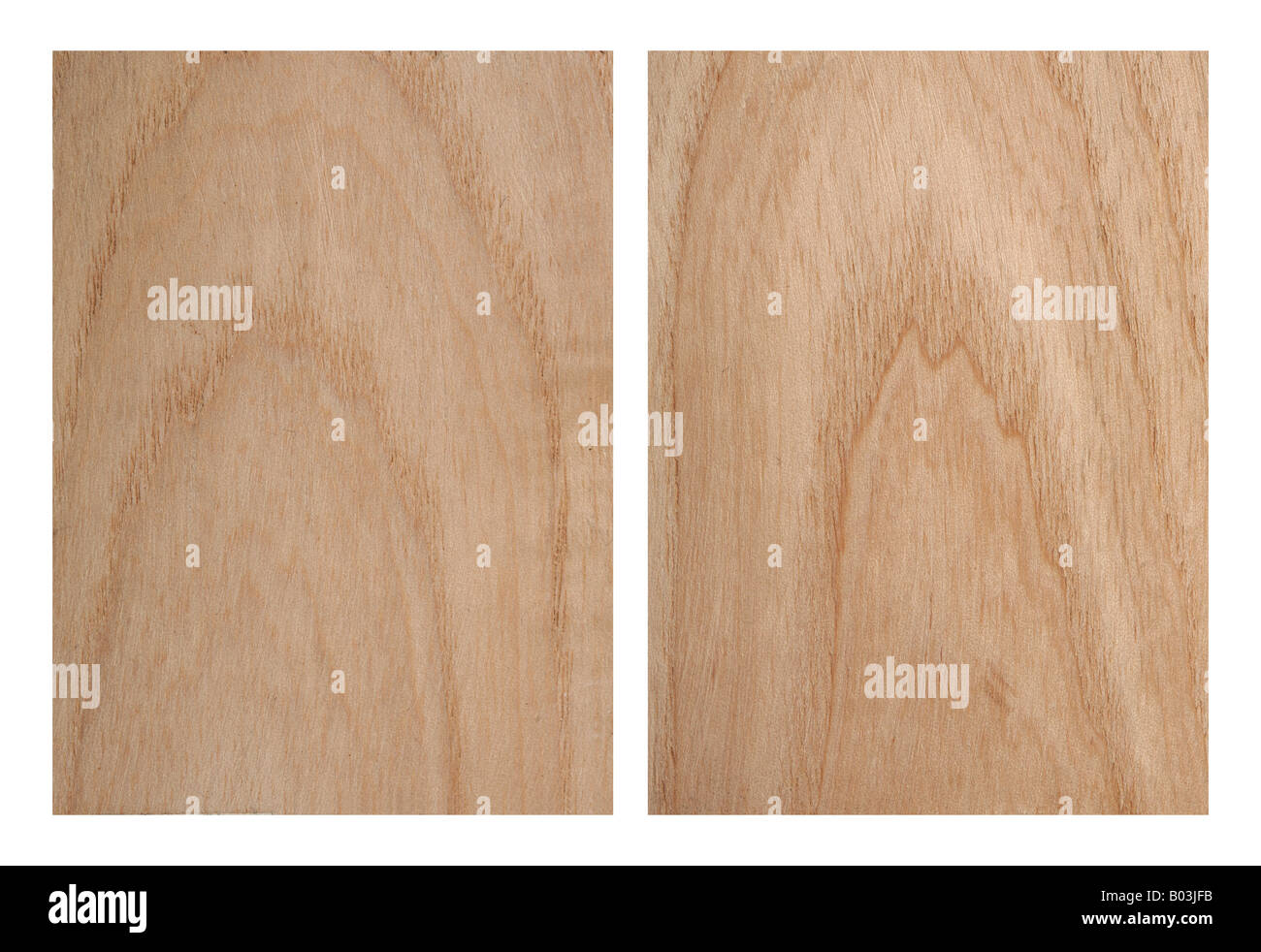 Ash tree wood texture Stock Photo Alamy