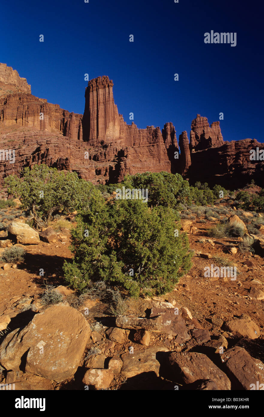 The red sandstone spires of Fisher Towers, Utah  USA Stock Photo