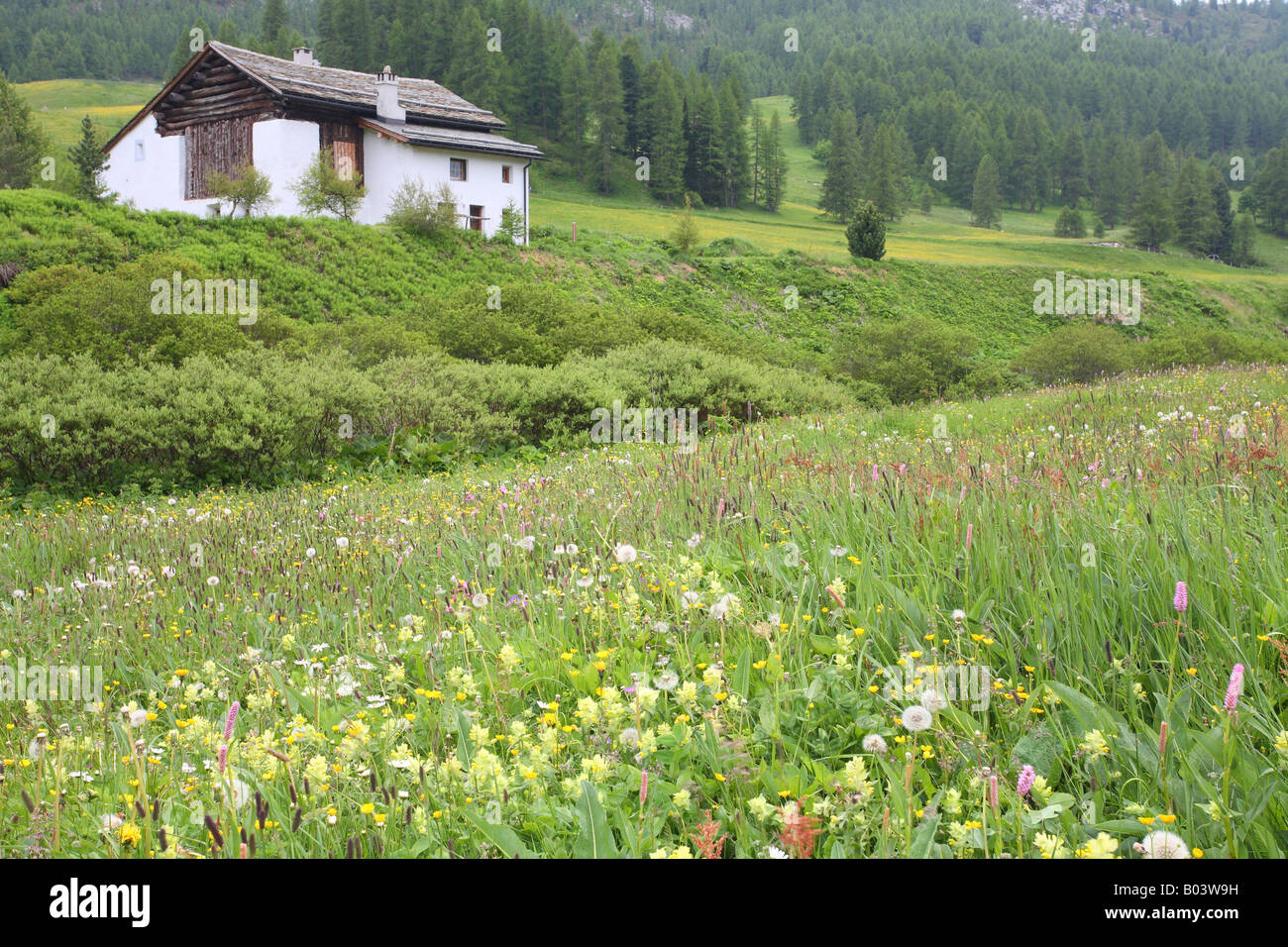 mountain pasture almhuette val fex fextal engadin graubuenden schweiz switzerland europe europa Stock Photo