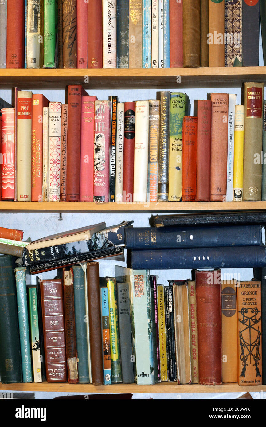 Books on a bookshelf Stock Photo Alamy