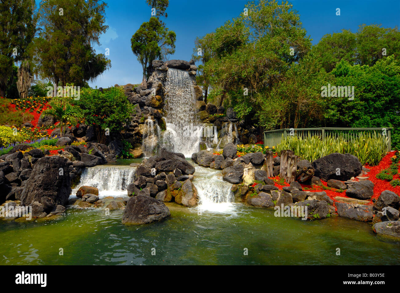 Cypress Gardens Florida Usa Stock Photo 17297546 Alamy