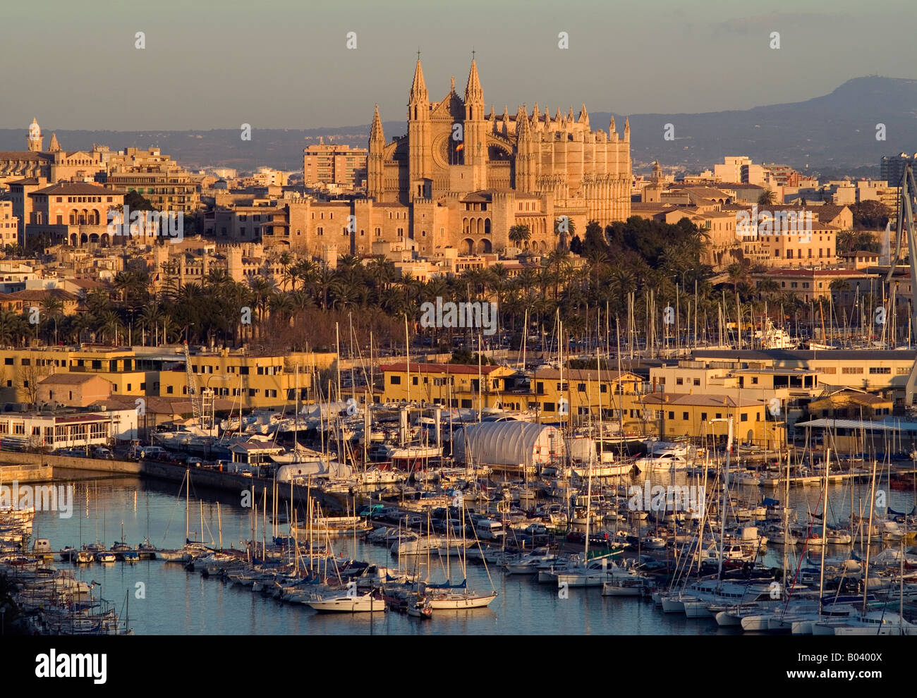 Palma Cathedral With Marina In Foreground At Sunset Mallorca Stock palma-cathedral-with-marina-in-foreground-at-sunset-mallorca-stock
