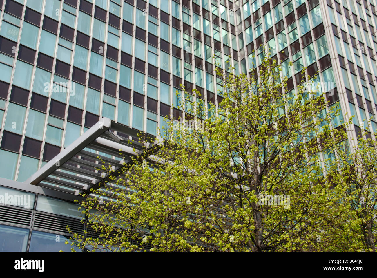 Green tree with building hi-res stock photography and images - Alamy