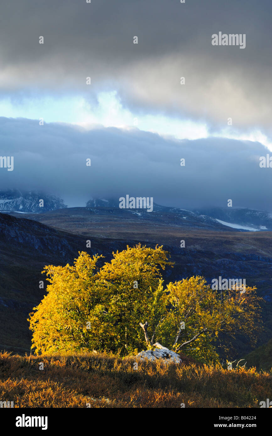 leirdalen mountain landscape mountain range gebirgslandschaft berglandschaft oppland norwegen norway nordeuropa north europe Stock Photo