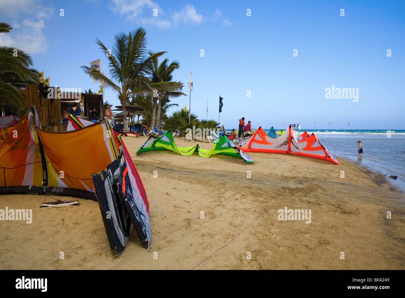 Beach La Barca with many kites resting on the beach, Playa Sotavento, Jandia, Fuerteventura, Canaries, Spain Stock Photo