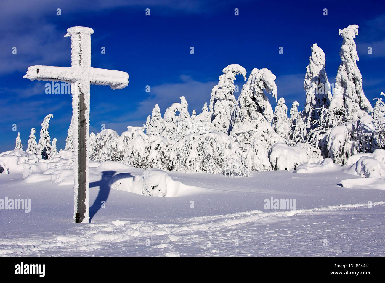 Onset of winter in the Northern Black Forest, Schwarzwaldhochstrasse, Schliffkopf, Buehlertal, Baden Wuerttemberg, Germany Stock Photo