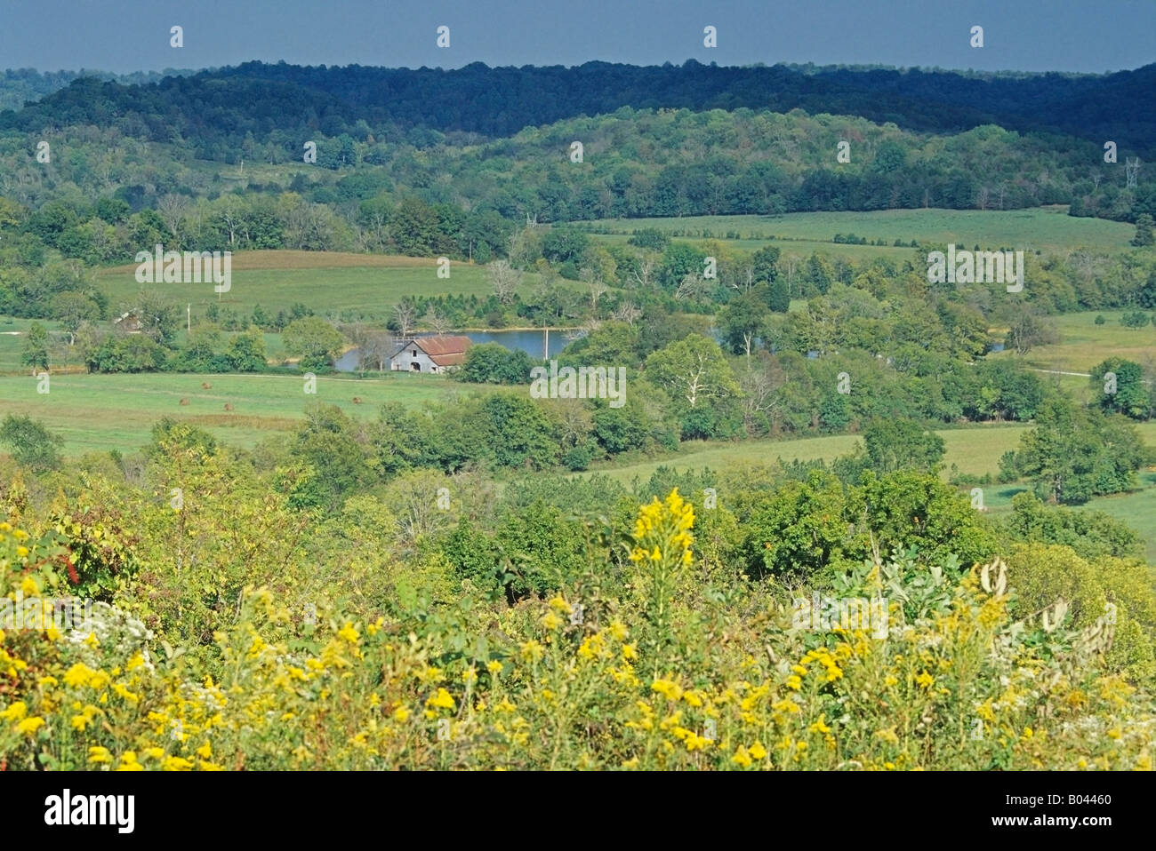 Overview of Farmland, Natchez Trace Parkway, Tennessee, USA Stock Photo