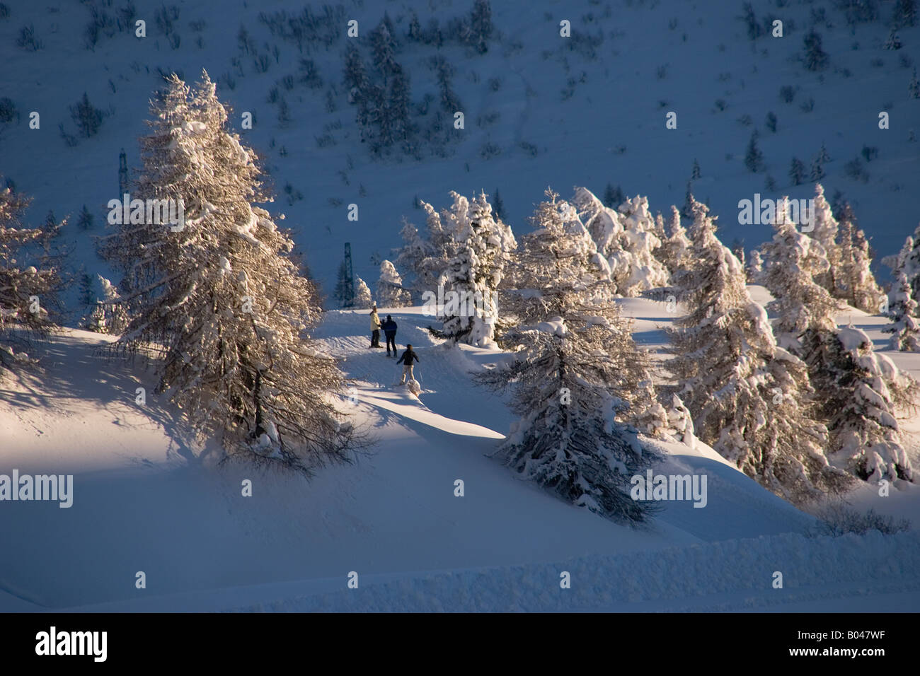 Skiers making their way across country Stock Photo