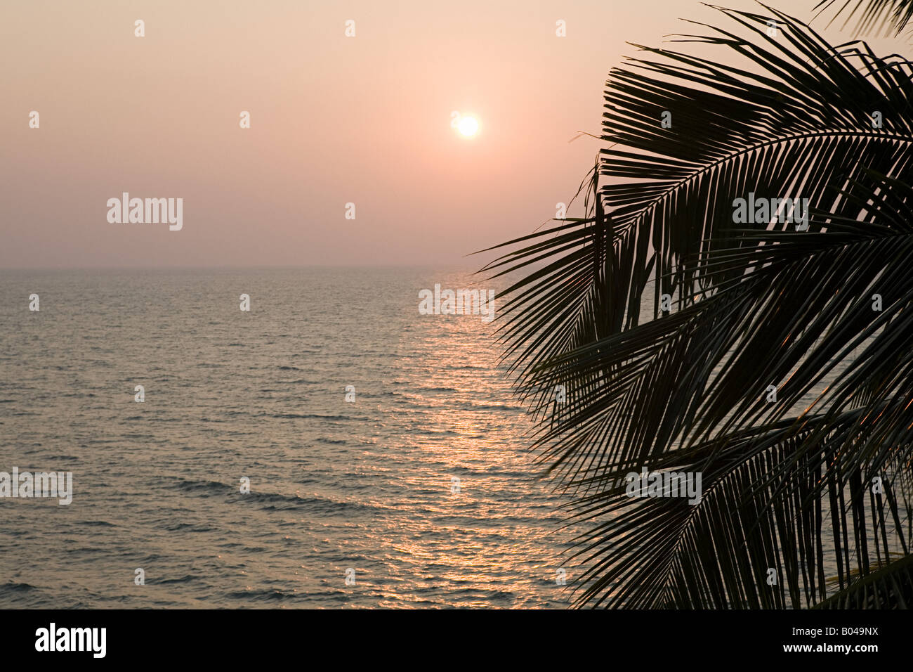 Palm silhouette tree leaves sea hi-res stock photography and images - Alamy
