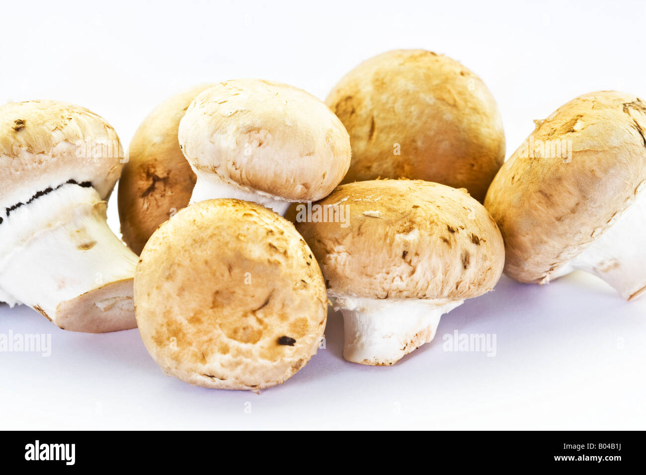 Fresh mushrooms on a white surface Stock Photo