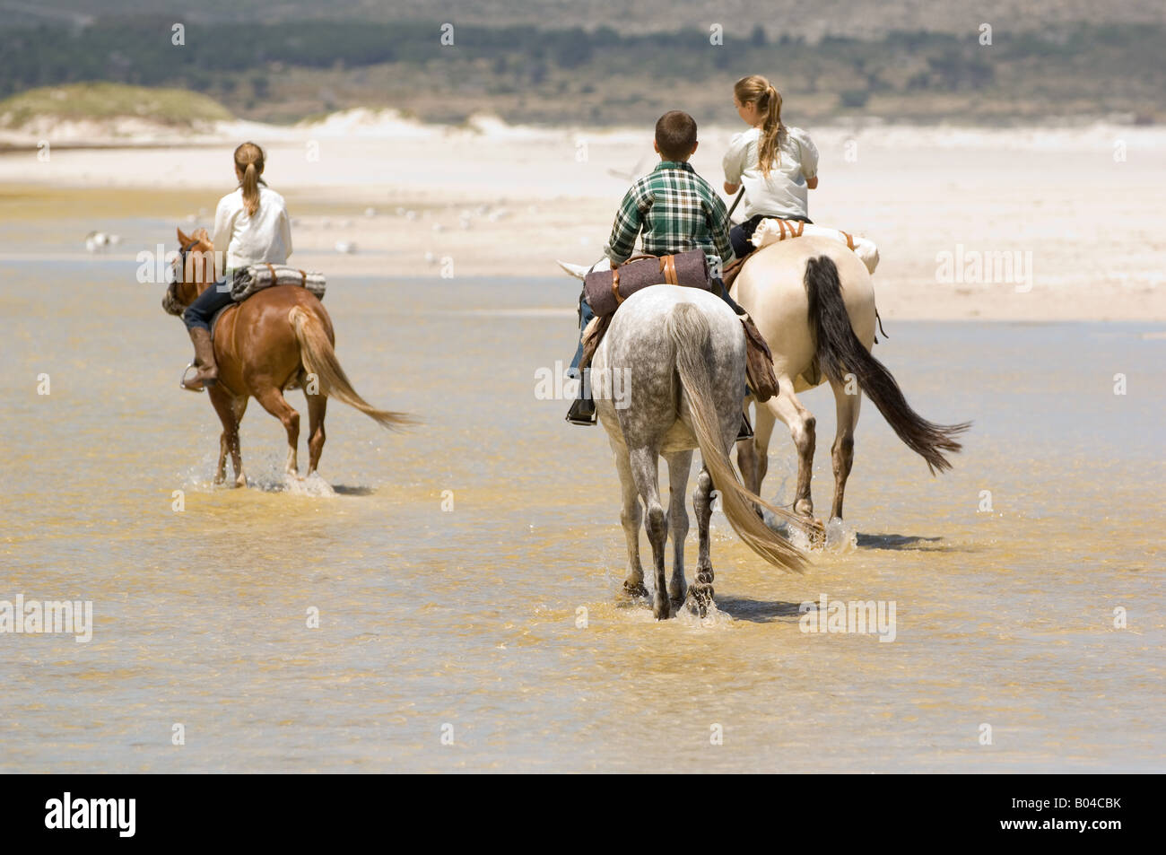 A boy and girls riding horses Stock Photo - Alamy