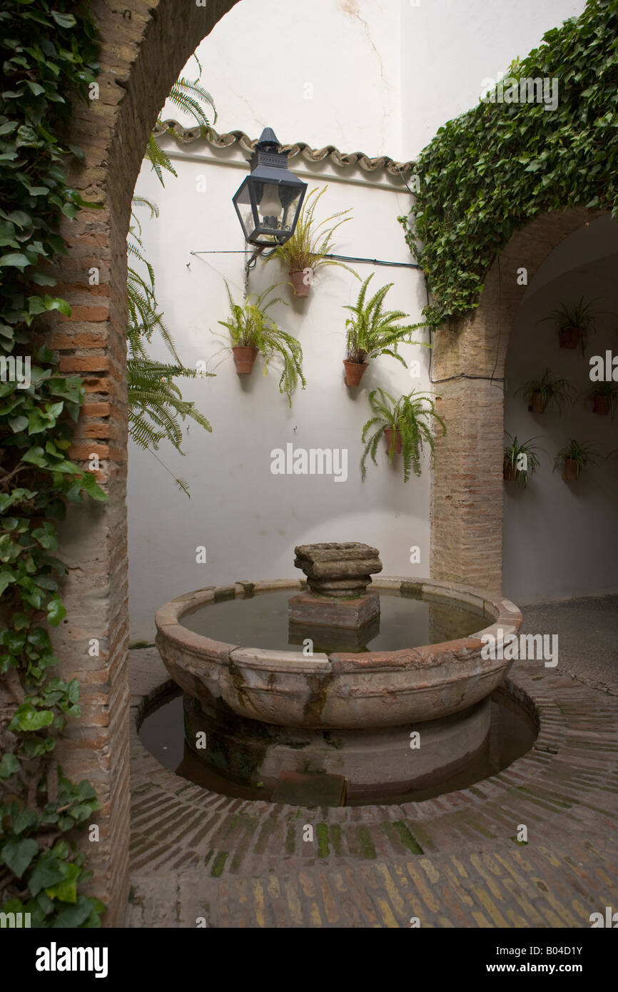 Potted ferns and water feature in courtyard in La Juderia district (Jewish Quarter) in the City of Cordoba Stock Photo