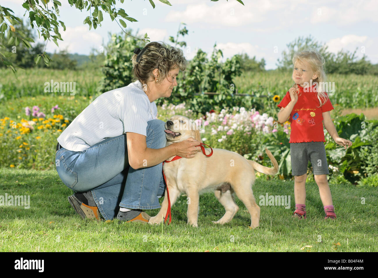 young Golden Retriever with woman and girl in the garden Stock Photo ...