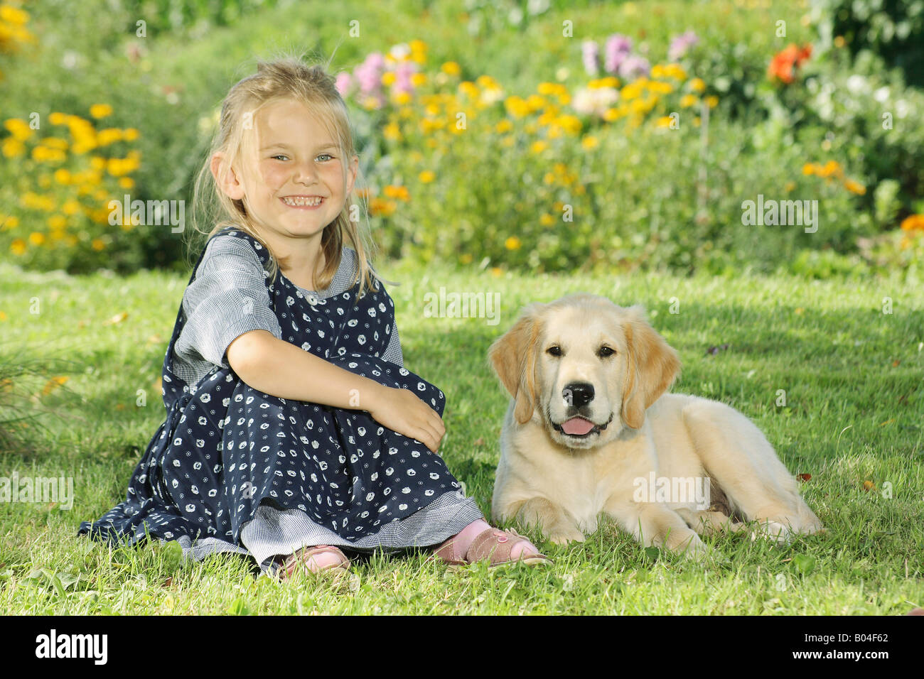 girl and young Golden Retriever in the garden Stock Photo - Alamy